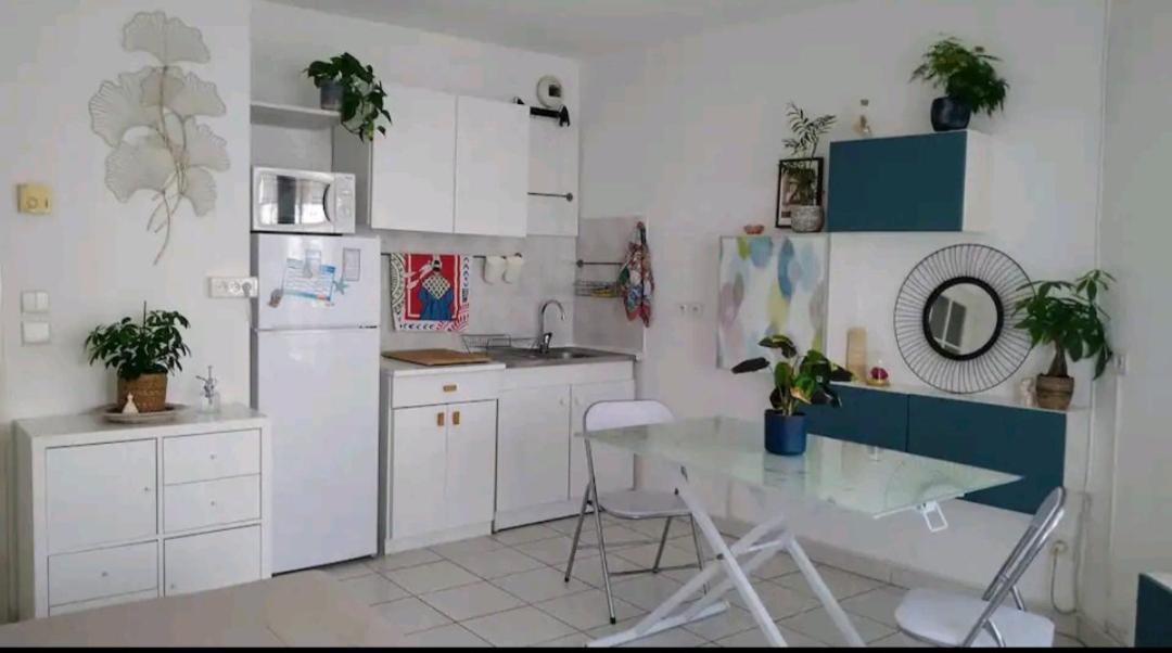 Logement Entier - Les Baumettes ニース エクステリア 写真
